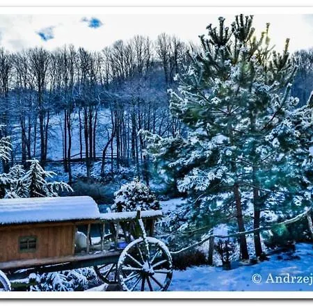 Cicha Woda 게스트하우스 3*