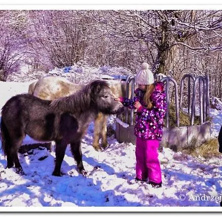 Cicha Woda 게스트하우스 3*