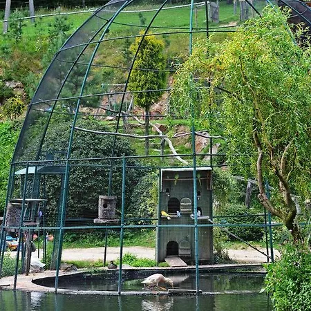 게스트하우스 Cicha Woda 피에르지체