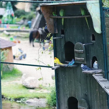 게스트하우스 Cicha Woda