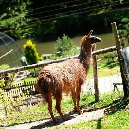 Cicha Woda 게스트하우스 피에르지체