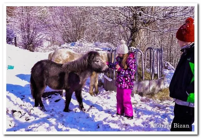 Cicha Woda Гостевой дом 3*