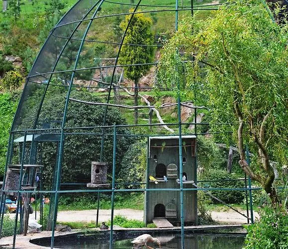 Гостевой дом Cicha Woda Пешице