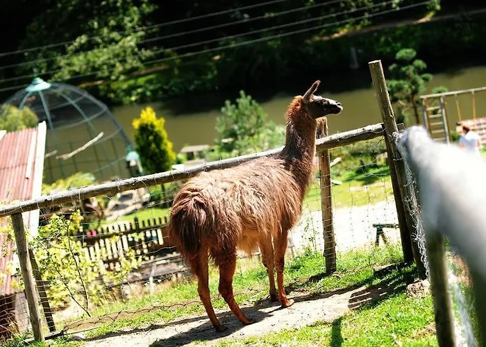 Cicha Woda Гостевой дом Пешице